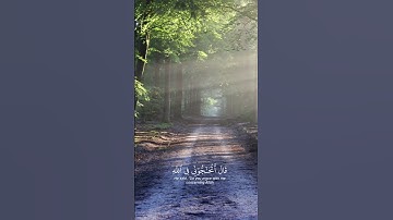 قران كريم " انى وجهت وجهى للذي فطر السموات والأرض حنيفا وما انا من  المشركين " سوره الانعام