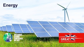 The Role of Nuclear Energy in a Net Zero Future