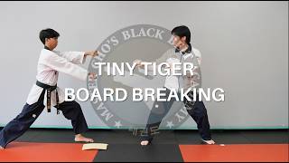 Tiny Tigers Board Breaking Parent & Student Guide - Master Cho's Taekwondo