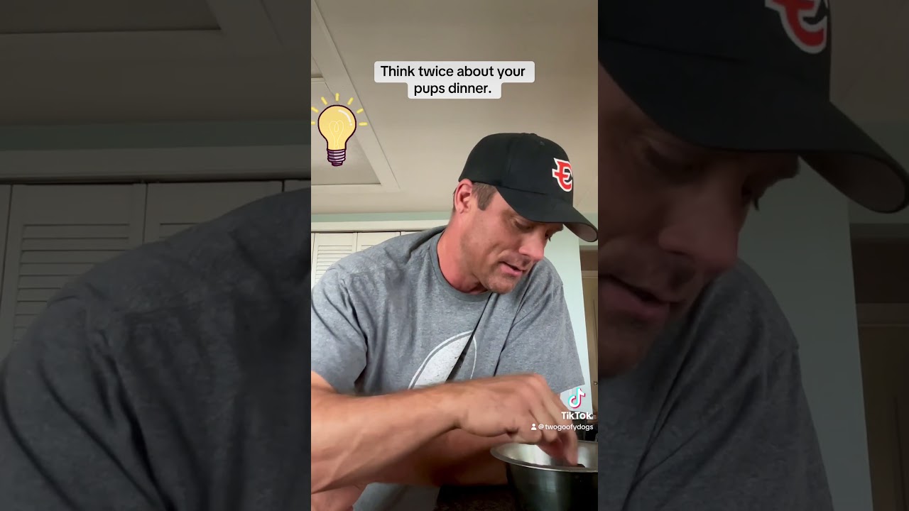 Food Scraps:  A dog's dinner.  