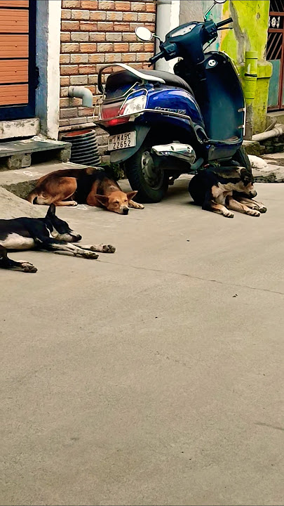 vanakamda mappilai#comedy #funny #shortsfeed