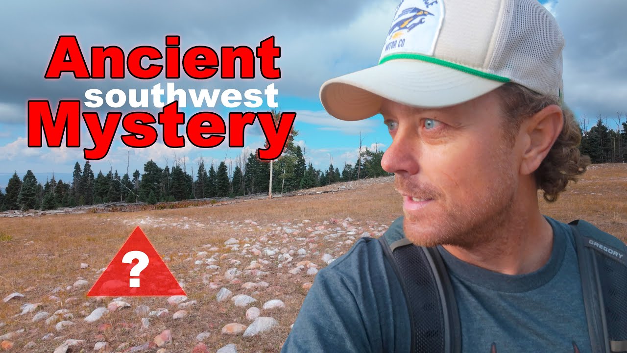 Archeologist are perplexed by something in the woods. What are they?