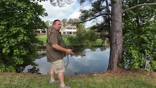 Best Snake Repellent Services: Expert Tips To Keep Snakes Away From Your Property!