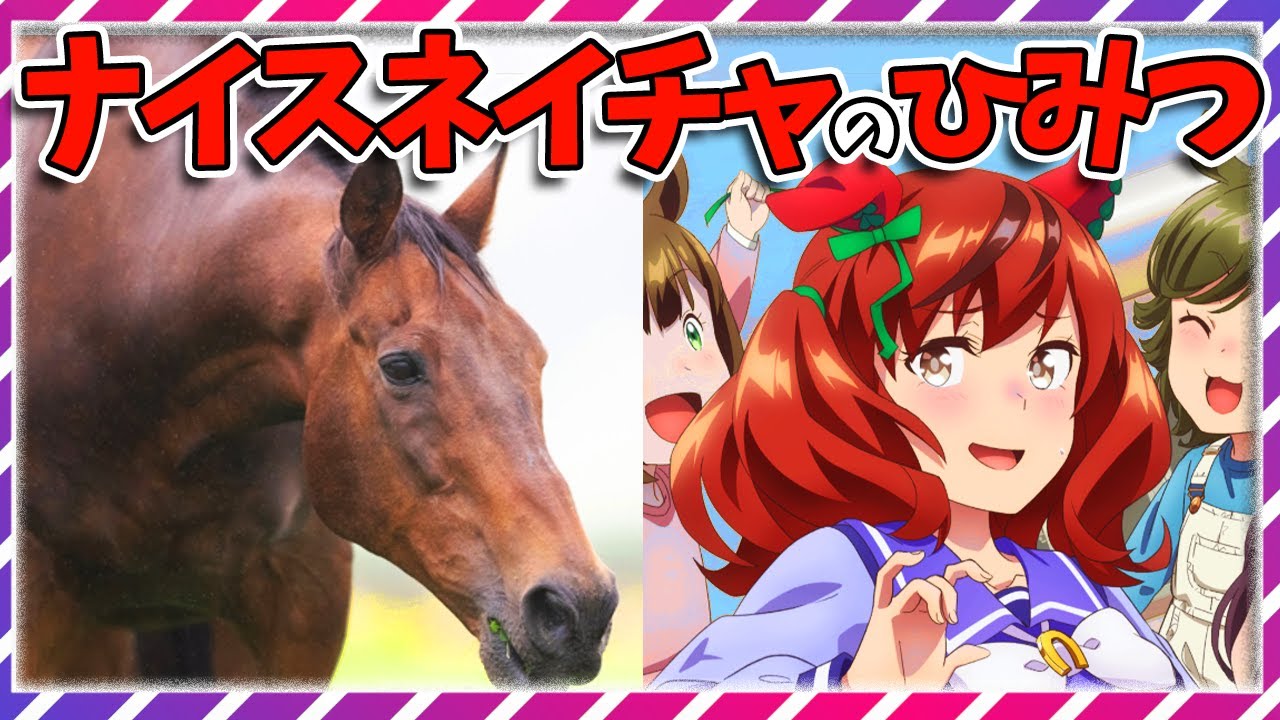 ナイスネイチャ 世界で一番好きな馬 Uma Musume Horse Racing] 99% of people don't know!? The secret of