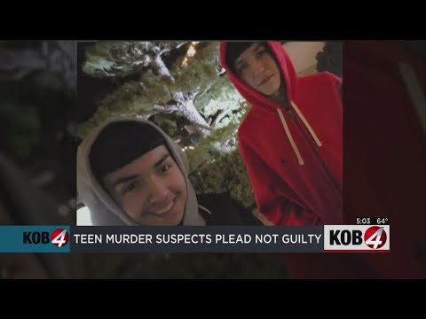 Albuquerque teens plead not guilty in double homicide