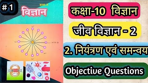 2.नियंत्रण एवं समन्वय #1 वस्तुनिष्ठ प्रश्न उत्तर,Vvi Objective Questions of biology chapter2 control