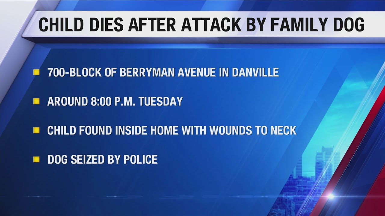 Danville child dies after dog attack - YouTube