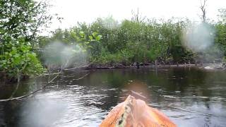 NFCT Kayakathon Day 16 Video - 20090615_11:48:46 - Am I in the Jersey Pinelands