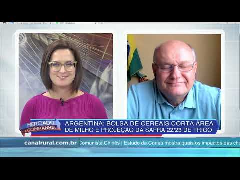 Clima e governo são problemas para o produtor rural da Argentina | Canal Rural