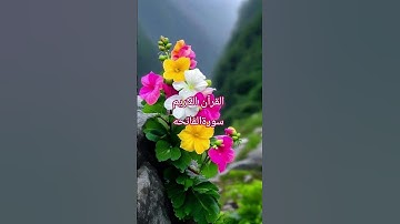 #fatiha #القرآن_الكريم #سورةالفاتحه #egzonibrahimi #hearttouching tilawat e Qur'an kareem