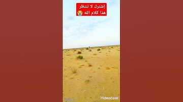 هاوي الخرجات الصحراوية قناة 2/ آداء في غاية الروعة والجمال للقارئ محمود البجيرمي رحمه الله تعالى 😭