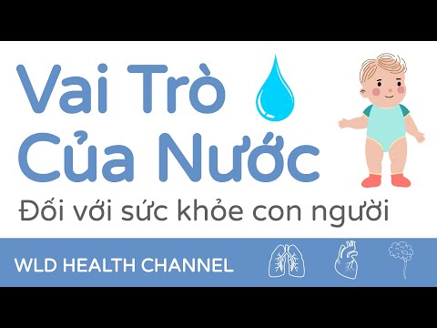 Vai trò của nước đối với con người | Hãy tiết kiệm nước