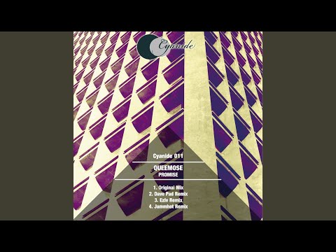 Promise (Ezlv Remix)