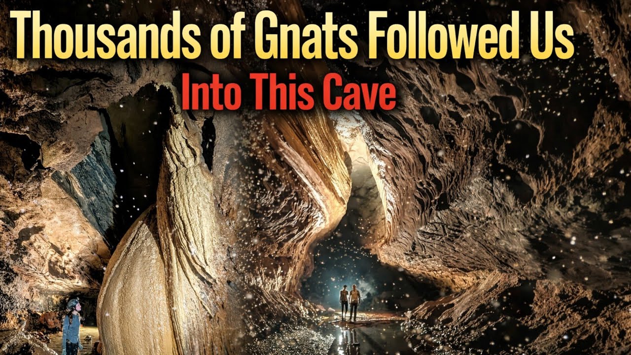 Do NOT Enter This Cave Without a Net (Swarmed)