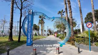İstanbul’un En İyi Kaykay Pisti Burası Mı? Kadıköy’de Saklı Bir Cennet: Kalamış Parkı’nı İzleyin