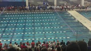 M 200 FR Sztolcman (Finals)