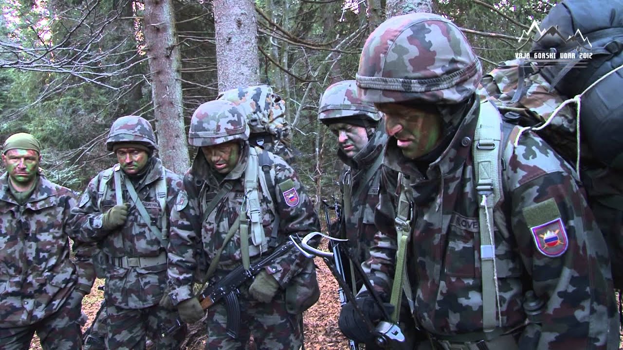 Vaja Gorski udar 2012