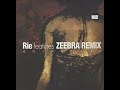 19990909 Rie features ZEEBRA REMIX 冷たい水の中の太陽