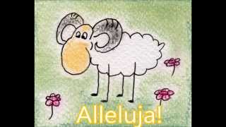 Video thumbnail of "ALLELUJA! - Sylwek Szweda"