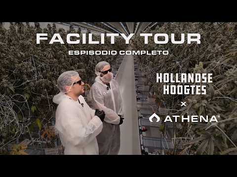 Complete Facility Tour - Hollandse Hoogtes x Athena Ag