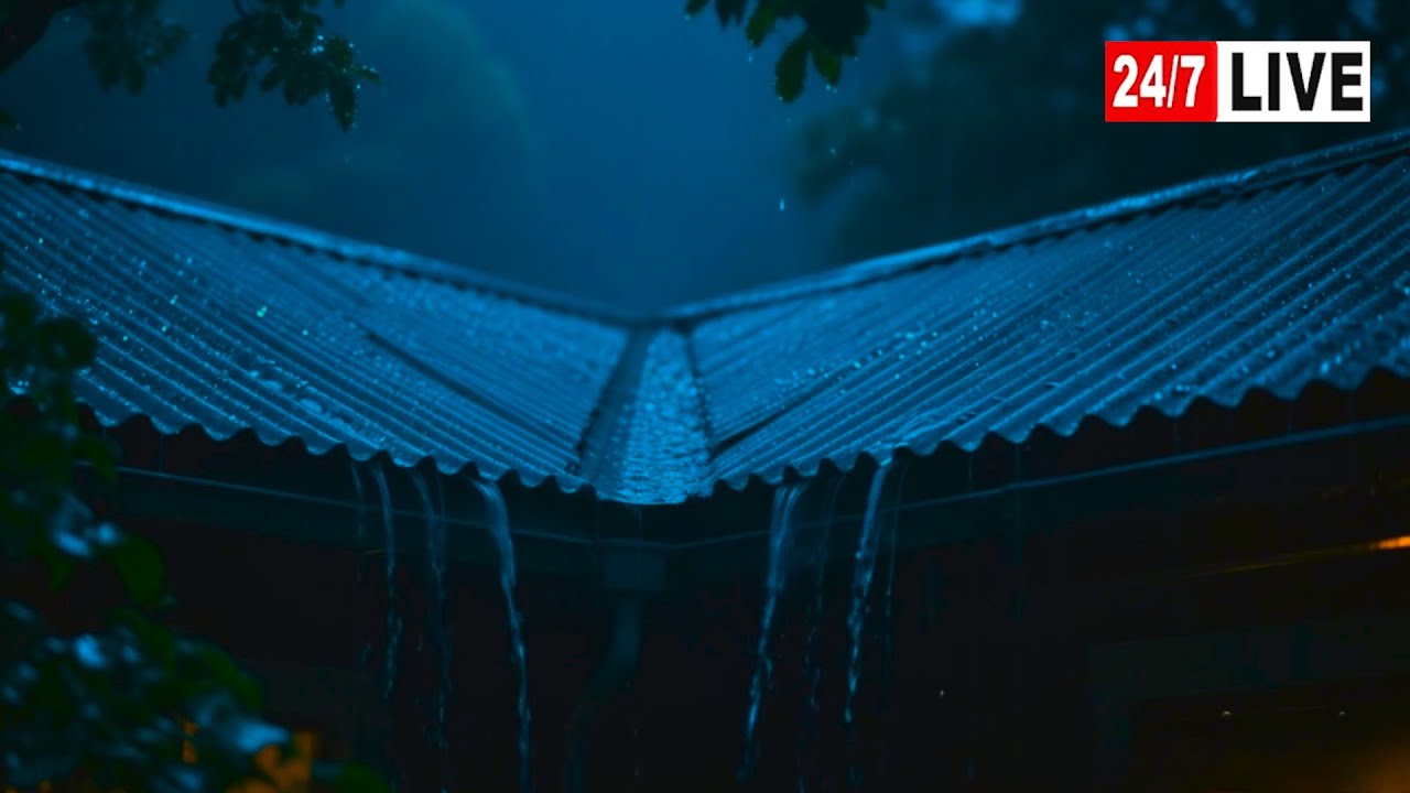 Barulho de Chuva para Dormir Profundamente ⛈ Som Perfeita de Chuva e Trovões à Noite #69 White Noise