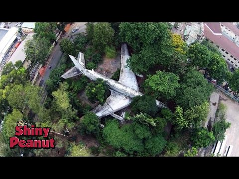 Video: Pesawat Hijau Masa Depan Mungkin Berjalan Di Tumbuhan