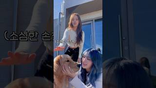 재이의 친해지길 바라(Feat. 세은)🐕 | 윤심장의 하루🦊🐯🐶