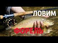 Ловим форель/Рыбалка в горном озере