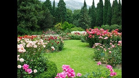 50 Mẫu Tranh 3D Vải Lụa Hoa Tuyệt Đẹp P3 - Xưởng In Tranh 3D Vải Lụa Sài Gòn