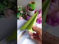 ✨DIY Easy Paper Plane💯Work #diycrafts #paperplane #artandcraft #shorts