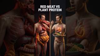 Red Meat vs. Plant Protein: The Inside Story 🥩🌱 #shorts #satisfying