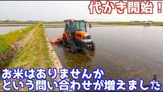 ドライブハローで代かき！お米に関する問い合わせが増えました - YouTube