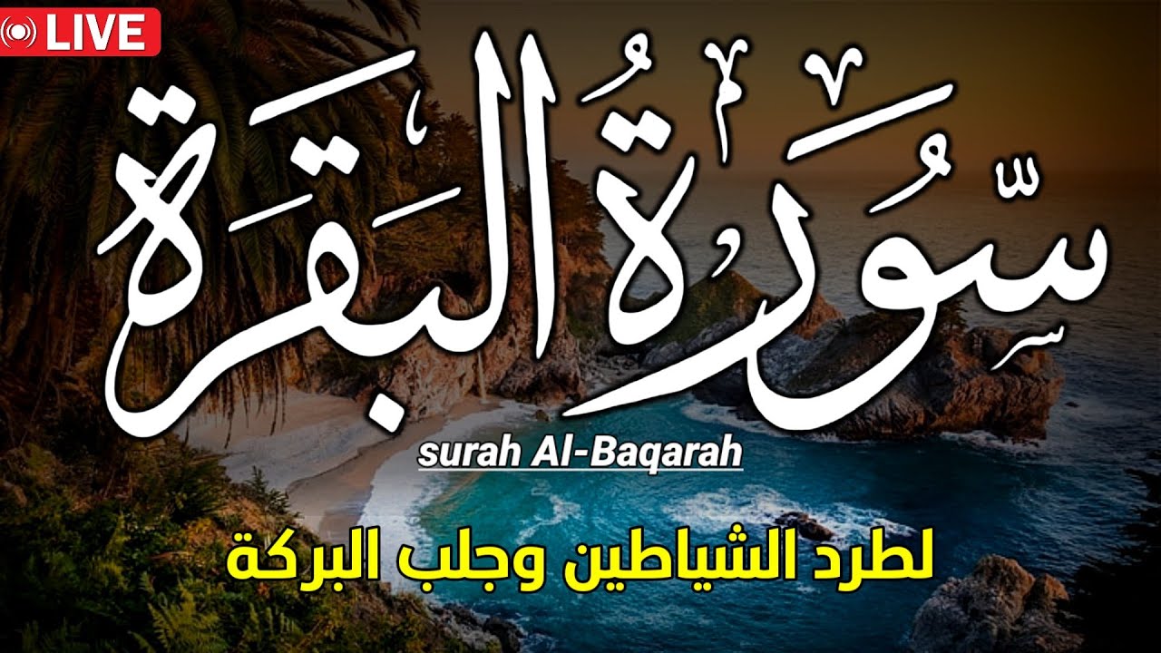 سورة البقرة كاملة💛لتحصين المنزل وفك السحر | تلاوة في قمة الهدوء وراحة القلب🌹Surah Al Baqarah