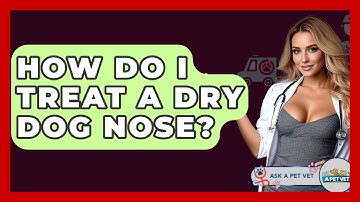 How Do I Treat A Dry Dog Nose? - Ask A Pet Vet