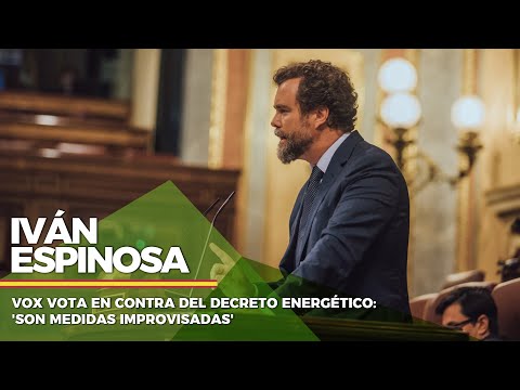 VOX vota en contra del Decreto Energético: 'Son medidas improvisadas'