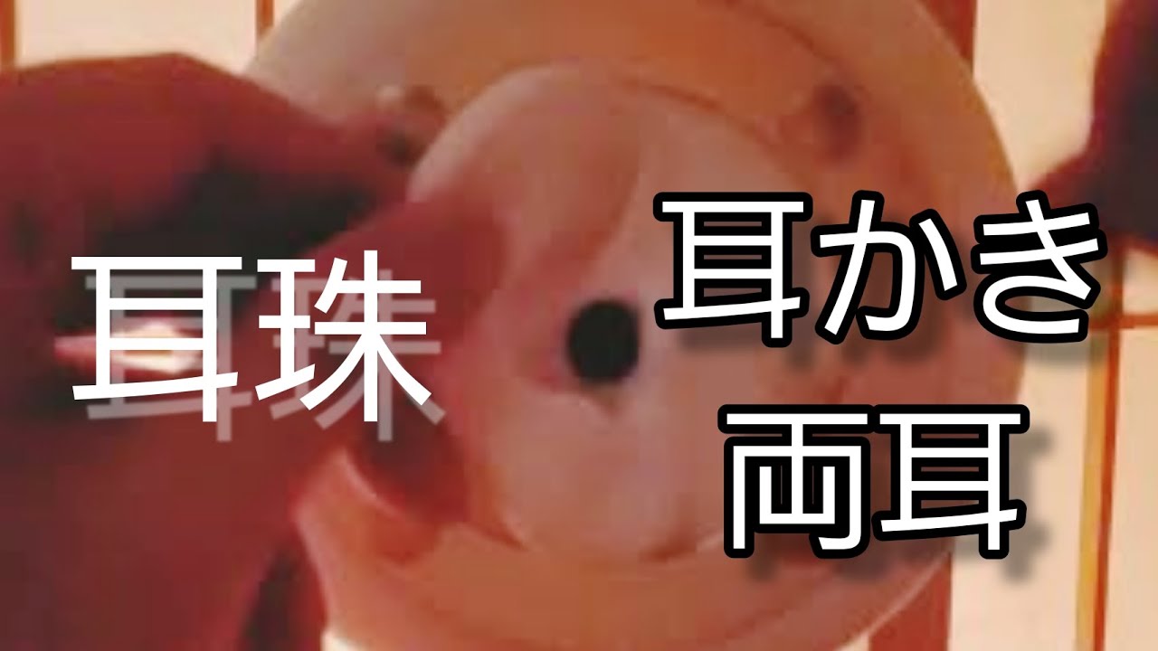 [ASMR][両耳ver.]耳珠を素手とか綿棒ステンレスとか耳かきで刺激して眠くなる/ear cleanings/바이노럴마이크/brain