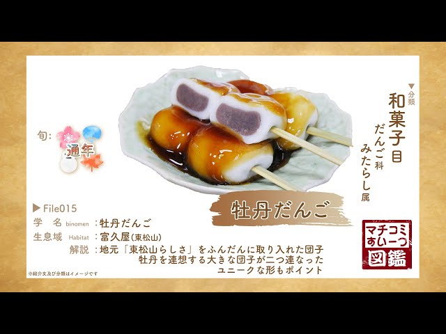 [年末大感謝祭東京土産編激安!!]富貴蘭　必見！!super白牡丹 宝石のような観葉植物のお店 【Jewelry Plant】 富貴蘭 白牡丹 は