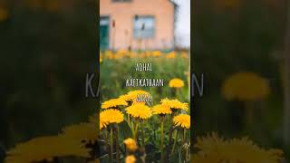 Download Lagu Poo Pookum Osai || Tamil || Whatsapp Status. MP3