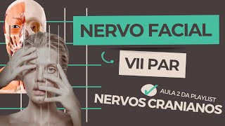 Anatomia do nervo Facial (VII par de nervos cranianos)