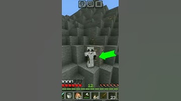 left hand torch bedrock addition 😱@mr.Liminixyt