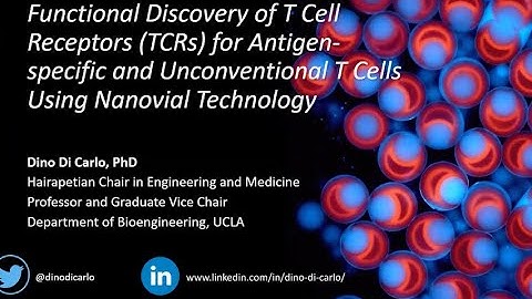 Keynote Presentation: Functional Discovery of T Cell Receptors (TCRs) for Antigen-specific and...