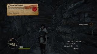 Badge of Vows 39 and 40 : r/DragonsDogma