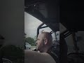 Driver uses Montana LLC loophole, battles NY cop over traffic laws on bodycam