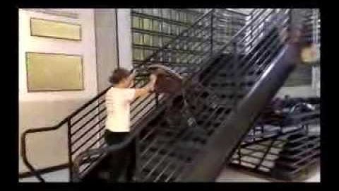 Upsadazy: the Stair-Capable Baby Stroller