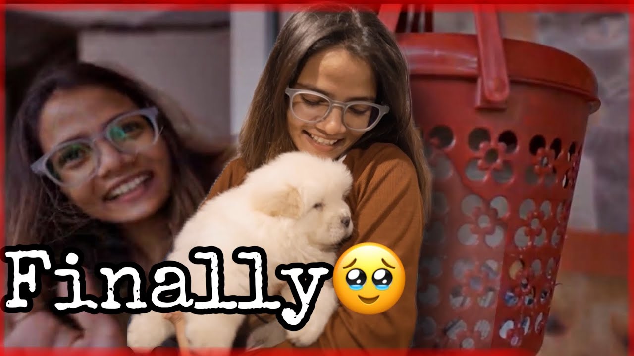 One Bucket List Down | Bought My Puppy | New Family Member Added |Anjali Patel (Reborne Unicorn)