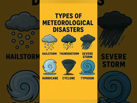 Top 6 Types Of Meteorological Disasters Deadliest Weather Events On Earth Scatteredrain Fog 