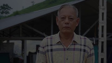 Chuyển đổi máy phát điện diesel sang sử dụng khí sinh học phát điện thường xuyên cho trang trại