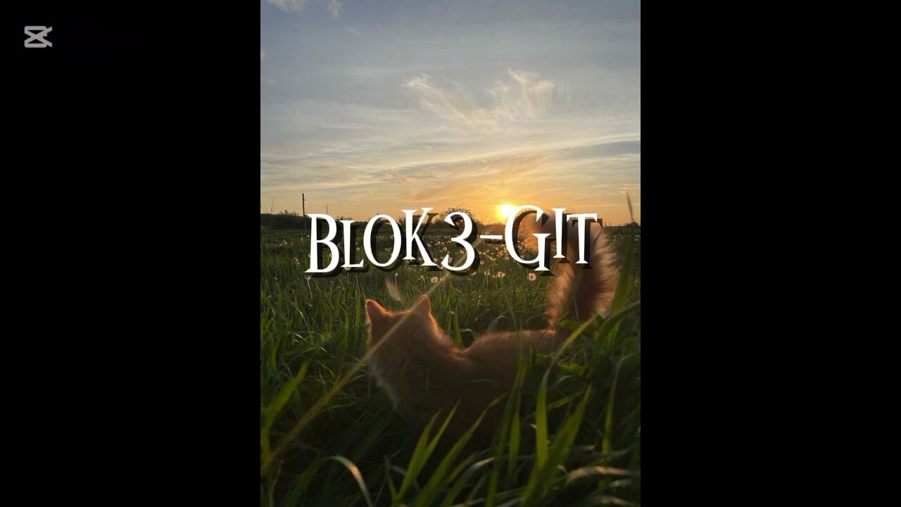 Blok3-Git (Speed Up) Sözleri Açıklamada