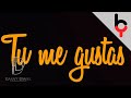 Miniature de la vidéo de la chanson Tú Me Gustas