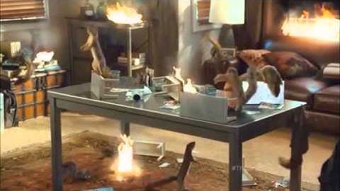 King of the Squirrels